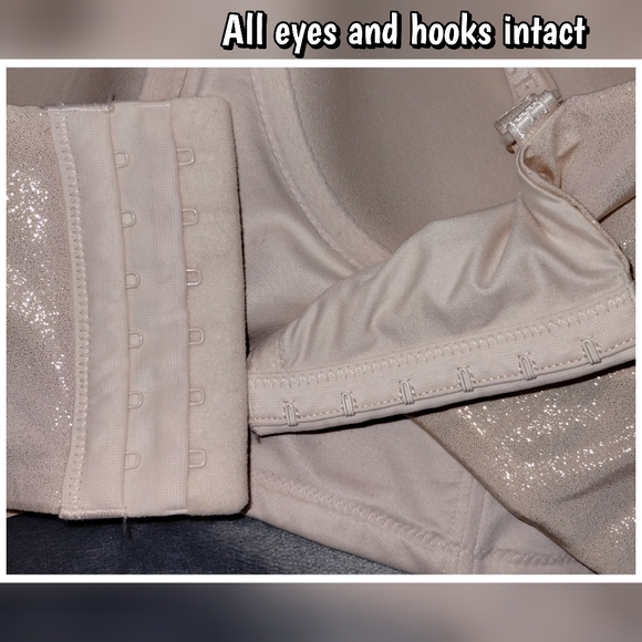 Victoria's Secret Body By Victoria Light Pink Shimmer Bustier Bra 34DDD - Picture 4 of 9